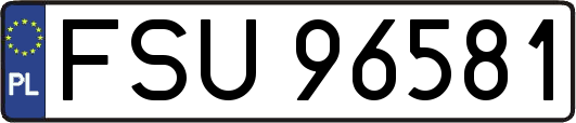 FSU96581