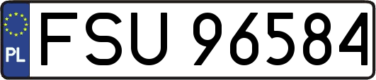 FSU96584