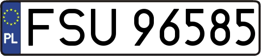FSU96585