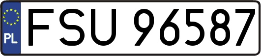 FSU96587