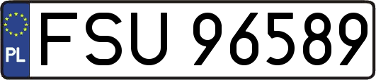 FSU96589