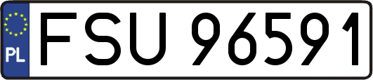 FSU96591