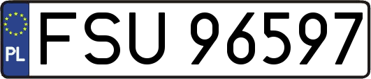 FSU96597