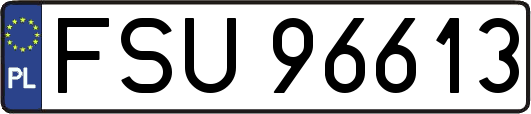 FSU96613