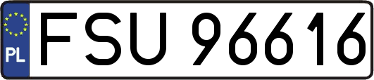 FSU96616