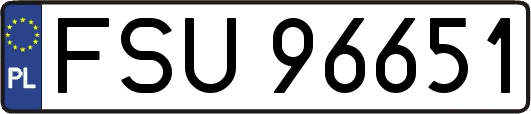FSU96651