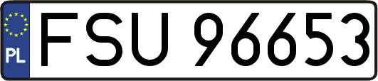 FSU96653
