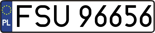 FSU96656
