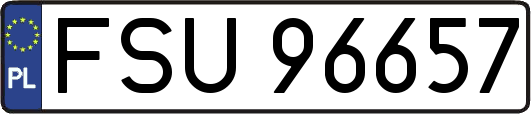 FSU96657