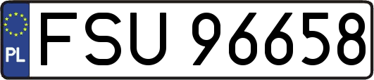 FSU96658