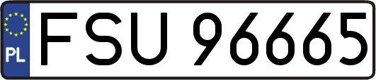 FSU96665