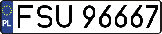 FSU96667