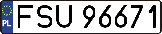 FSU96671
