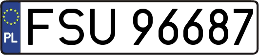 FSU96687