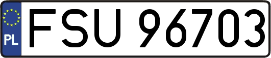 FSU96703
