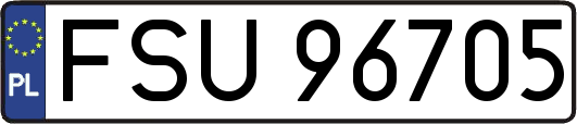 FSU96705