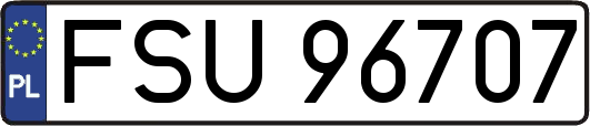FSU96707