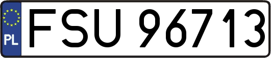 FSU96713