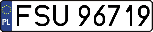 FSU96719