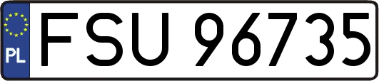 FSU96735