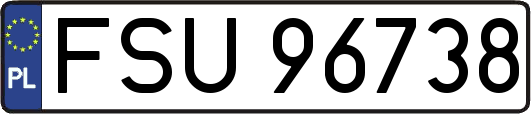 FSU96738