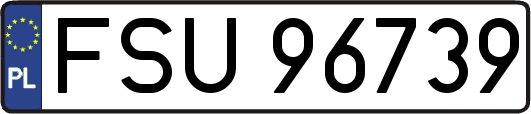 FSU96739