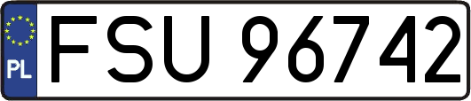 FSU96742