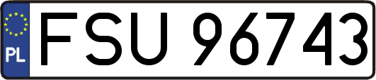 FSU96743
