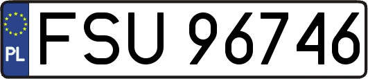 FSU96746