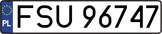 FSU96747