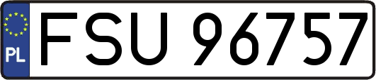 FSU96757