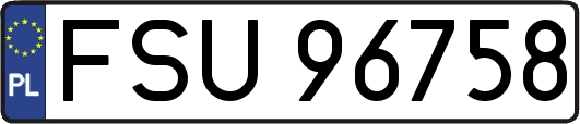FSU96758