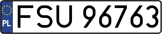 FSU96763