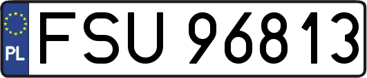 FSU96813
