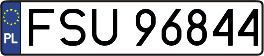 FSU96844