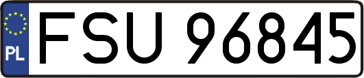 FSU96845