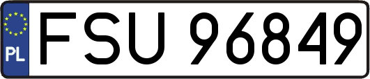 FSU96849