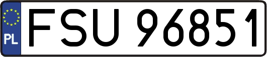 FSU96851