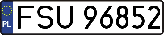 FSU96852