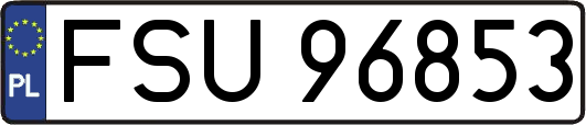 FSU96853