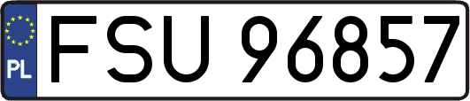 FSU96857