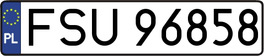 FSU96858