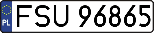 FSU96865