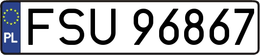 FSU96867