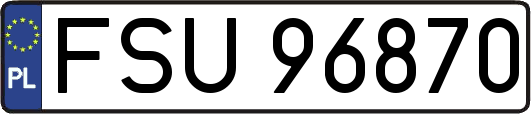 FSU96870