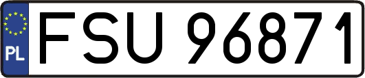 FSU96871