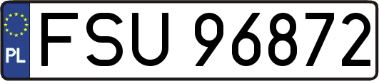 FSU96872