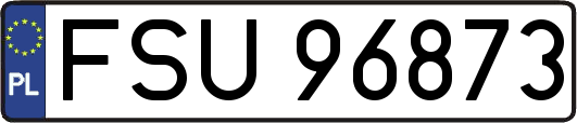 FSU96873