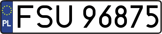 FSU96875