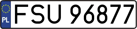 FSU96877